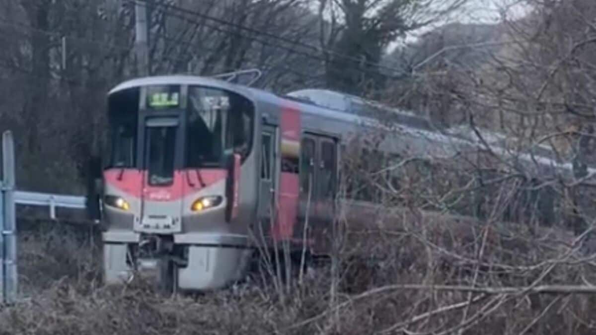 【交通情報】JR山陽本線　上郡～吉永間で運転ストップ→運転再開　倒木の影響　約1400人に影響【22日午後7時40分現在】