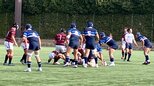 高校ラグビー近畿大会開幕 東海大大阪仰星と報徳学園が激突!!京都工学院と京都成章 選抜大会にむけ2回戦でライバル対決へ|TBS NEWS DIG