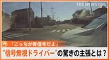 赤信号で突っ込んできた車と衝突事故「こっちが青信号だよ」降りてきた“信号無視ドライバー”の驚きの主張とは？|TBS NEWS DIG