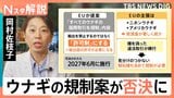 ウナギ全種の規制は否決！“違法取引”横行でEUが提案　7割を輸入の日本　食文化×資源を守るには【Nスタ解説】|TBS NEWS DIG