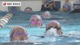 夏季水泳教室 閉講 子どもたちが泳ぎの練習の成果を披露 | 長崎のニュース | 天気 | NBC長崎放送