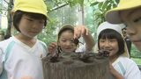 子どもたち大興奮!ムシムシランドで放虫式「カブトムシドーム」12日オープン 福島・田村市 | 福島のニュース│TUF