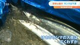 野菜豊作で「鍋物食材」価格安定、「サンマ」不漁で高値傾向つづく | 大分のニュース|OBS NEWS|大分放送