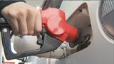 長崎県のガソリン価格192円　先週から0.1円↓も高知、長野に次いで全国3番目の高値|TBS NEWS DIG