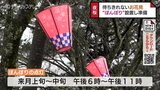 満開は4月14日ごろか　お花見シーズンに向け ”ぼんぼり” 設置　富山・魚津市　|　富山のニュース｜天気・防災｜チューリップテレビ
