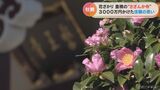 「日本一の“さざんか寺”を作ってみようと…」祖父母の思い胸に 3000万円以上をつぎ込んだ住職 愛知・豊橋市 | 名古屋・愛知・岐阜・三重のニュース【CBC news】 | CBC web