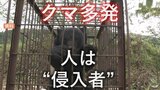 クマにとって”人”は「侵入者」で「えさ」なのか　危険な季節と行政のスピード感　市街地出没時は「追い払い」が前提で射殺手続きに2時間？ 私たちがとるべき熊対策は（山形）　|　山形のニュース│TUYテレビユー山形