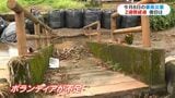 霧島・姶良集中豪雨から2週間 爪痕残り手つかずの福山町湊川 鹿児島|TBS NEWS DIG