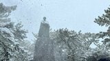 「積雪で現地までたどりつけない」高知県内の2600戸で停電 復旧メドたたない所も(23日午後5時半) | 高知のニュース・天気|KUTV NEWS | KUTVテレビ高知