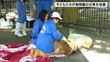 動物とふれあう特別な体験を満喫 とべ動物園 こどもの日恒例「1日仕事体験イベント」開催 | 愛媛のニュース - Nスタえひめ|あいテレビは6チャンネル