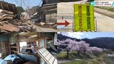 能登半島地震から4か月 輪島市町野町出身のシナリオライター・藤本透さんが見つめる“ふるさと”の今|TBS NEWS DIG