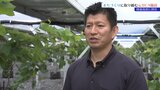 陸前高田市のまちづくりに取り組む元JICA職員 大林孝典さん 岩手|TBS NEWS DIG