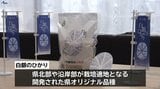 ふっくら色白 粒立ちしっかり 甘みも特徴 岩手県が10年かけ開発 オリジナルブランド米「白銀のひかり」 28日販売開始前にロゴマークお披露目 | IBC NEWS | IBC岩手放送