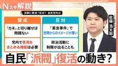 自民「派閥」復活の動き？ 過去には“政治とカネ”問題めぐり解散、勧誘に揺れる新人議員たちのホンネ【Nスタ解説】| TBS CROSS DIG with Bloomberg