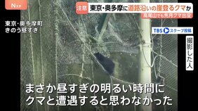 都内でクマ出没か「黒いものが前を」…道路沿いの崖を軽やかに登る様子 キャンプや登山で観光客多く訪れる東京・奥多摩町で|TBS NEWS DIG