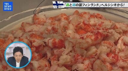 北欧フィンランドの首都ヘルシンキってどんなところ？さあ、一緒に街を