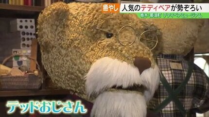 その数、およそ500体！かわいいテディベアが勢ぞろい 那須テディベア