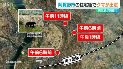 熊の散歩 クマ散歩：あいかわ公園に品行方正なクマ出没 The Bear took a