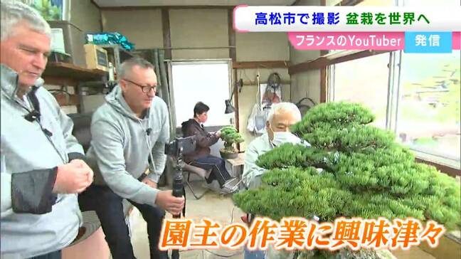 フランスの盆栽YouTuberが高松市の盆栽園を撮影　“高松盆栽”の魅力を世界に発信【香川】|TBS NEWS DIG