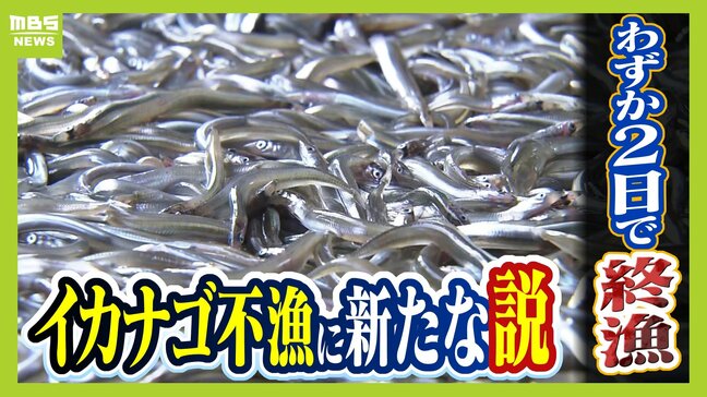 【イカナゴ不漁】今年は２日で終了　もはや庶民の味ではない？くぎ煮「１００ｇ２０００円」も…　減少理由に“新説”回復への突破口は？|TBS NEWS DIG