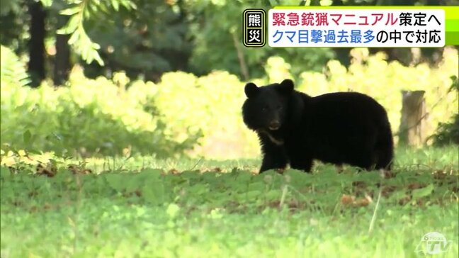 青森県十和田市が『緊急銃猟マニュアル』を年内に策定へ　クマが市街地などに出没の場合に市の判断で迅速に発砲可能に「市民のみなさまの安全を確保するために」|TBS NEWS DIG