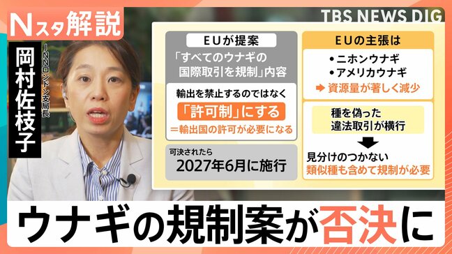 ウナギ全種の規制は否決！“違法取引”横行でEUが提案　7割を輸入の日本　食文化×資源を守るには【Nスタ解説】|TBS NEWS DIG