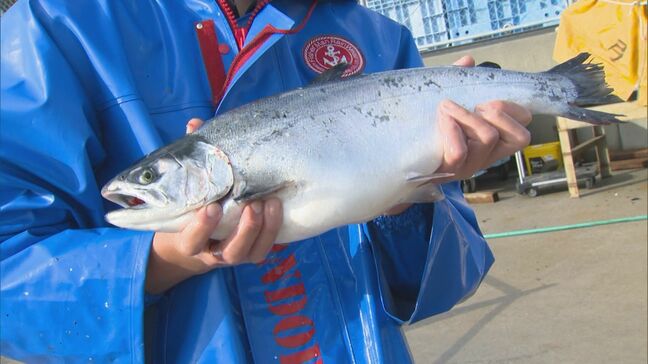 境港サーモン水揚げ始まる　東日本大震災で被災し事業移転　山陰の春の味覚として15年に|TBS NEWS DIG