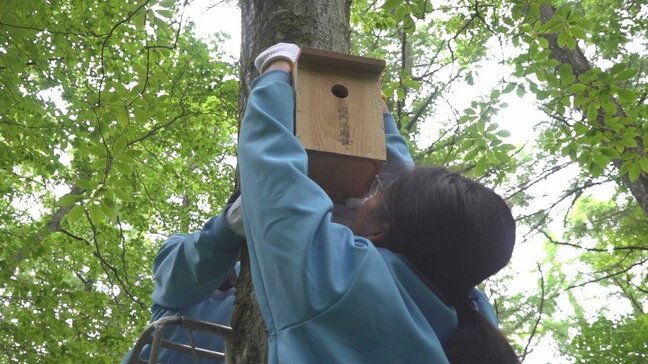 野鳥に優しい環境を　中学生が森に巣箱20箱を取り付け　エサの実がなるナナカマドなど植樹も　山梨・山中湖村|TBS NEWS DIG