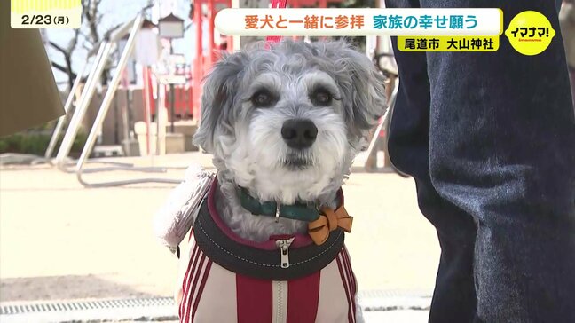 「元気に長生きして」尾道・大山神社に愛犬家が集結 ペットの祈祷や専用お守りも 広島|TBS NEWS DIG