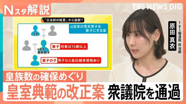 皇室典範改正が案衆議院で可決も…懸念の声　「とりまとめ案」から「政府案」で“立法府の総意”から逸脱？【Nスタ解説】|TBS NEWS DIG
