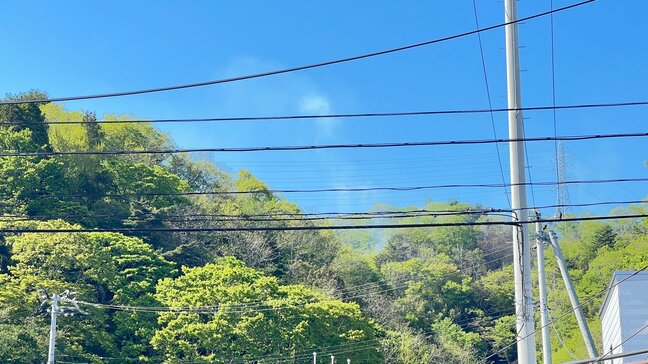 岩手県大槌町で再び山林火災発生 今度は城山公園体育館付近 消火活動の末、火の勢いは収まり延焼の恐れはなし|TBS NEWS DIG
