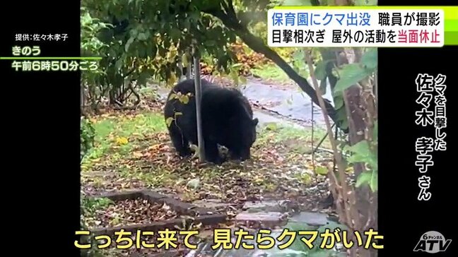 保育園に『クマ』出没「黒い影が見えて…」 裏にある畑で『キウイ』など木の実がなった枝を揺らし… 相次ぐクマの出没 教育活動にも影響が 目撃情報が昨年度の10倍以上・約930件の青森県むつ市|TBS NEWS DIG