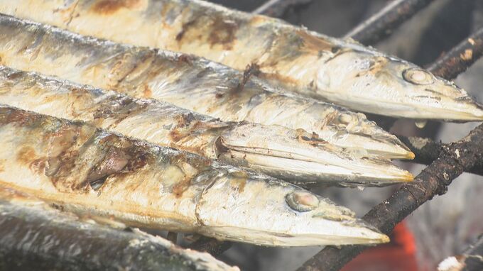 さんま焼き師が焼き上げる直送サンマが人気！「善光寺表参道秋まつり」で市街地にぎわう・長野市　|　SBC NEWS | 長野のニュース | SBC信越放送