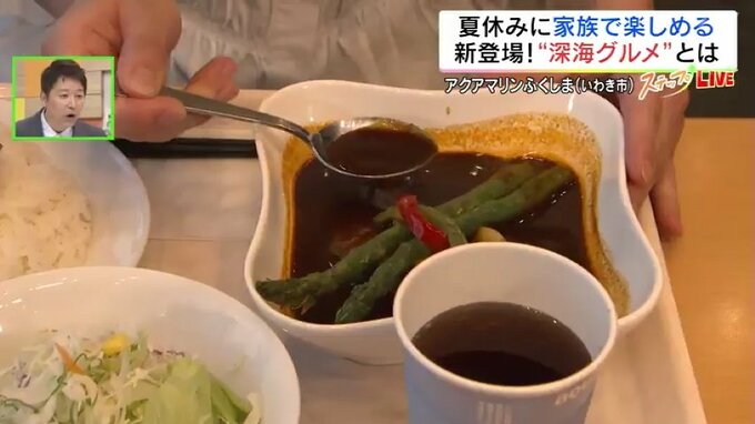 深海グルメの“辛”海カレーも…夏休み、アクアマリンふくしまで学んで食べて楽しもう！福島・いわき市　|　福島のニュース│TUF