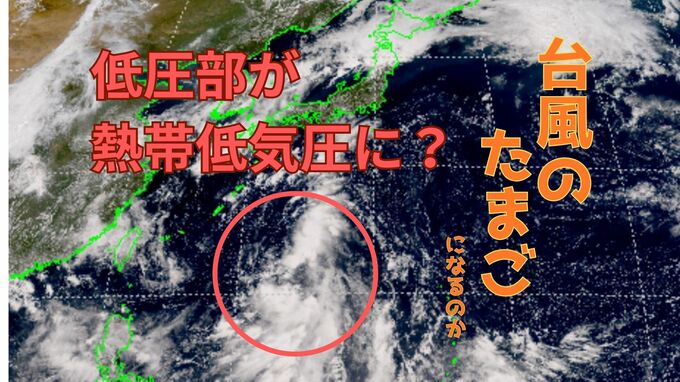フィリピン東の低圧部…3日から4日にかけ “台風のたまご” になるか？熱帯低気圧に発達して西日本に接近の可能性も【雨と風のシミュレーション】東北は前線で大雨に厳重警戒|TBS NEWS DIG
