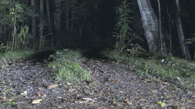 林道に駐車の軽自動車から3人の遺体 30代男性と10代女性2人か 警察は事件と集団自殺の両面で調べ 北海道網走市|TBS NEWS DIG