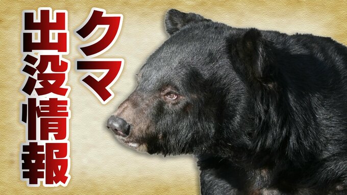 クマらしき動物を目撃 通行人が通報 砺波市東開発地内 富山|TBS NEWS DIG