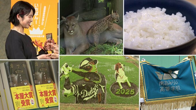 【いわてこの一年⑧】カフネ本屋大賞受賞、新しい県立高校誕生、今年も登場した大谷選手の田んぼアート、動物公園のかわいい赤ちゃんなどこの一年の明るい話題総まとめ　岩手|TBS NEWS DIG