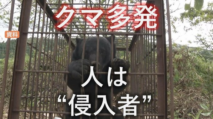 クマにとって”人”は「侵入者」で「えさ」なのか　危険な季節と行政のスピード感　市街地出没時は「追い払い」が前提で射殺手続きに2時間？ 私たちがとるべき熊対策は（山形）|TBS NEWS DIG
