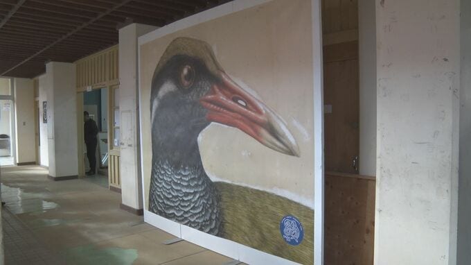 やんばるの魅力を発信　やんばるアートフェスティバル　|　沖縄のニュース｜RBC 琉球放送