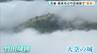 「待ったかいがあった」雲海に浮かぶ“天空の城”竹田城跡　一目見るため観光客が集う　兵庫・朝来市　|　MBSニュース | 関西の最新ニュースを分かりやすく。