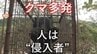 クマにとって”人”は「侵入者」で「えさ」なのか　危険な季節と行政のスピード感　市街地出没時は「追い払い」が前提で射殺手続きに2時間？ 私たちがとるべき熊対策は（山形）　|　山形のニュース│TUYテレビユー山形