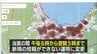 虚偽投稿相次いだ「くまログあおもり」　当面の間は夜～早朝の投稿不可に　明らかな虚偽投稿は県職員が削除対応も早朝～深夜にかけては対応難しく　　|　青森のニュース│ATV NEWS│青森テレビ