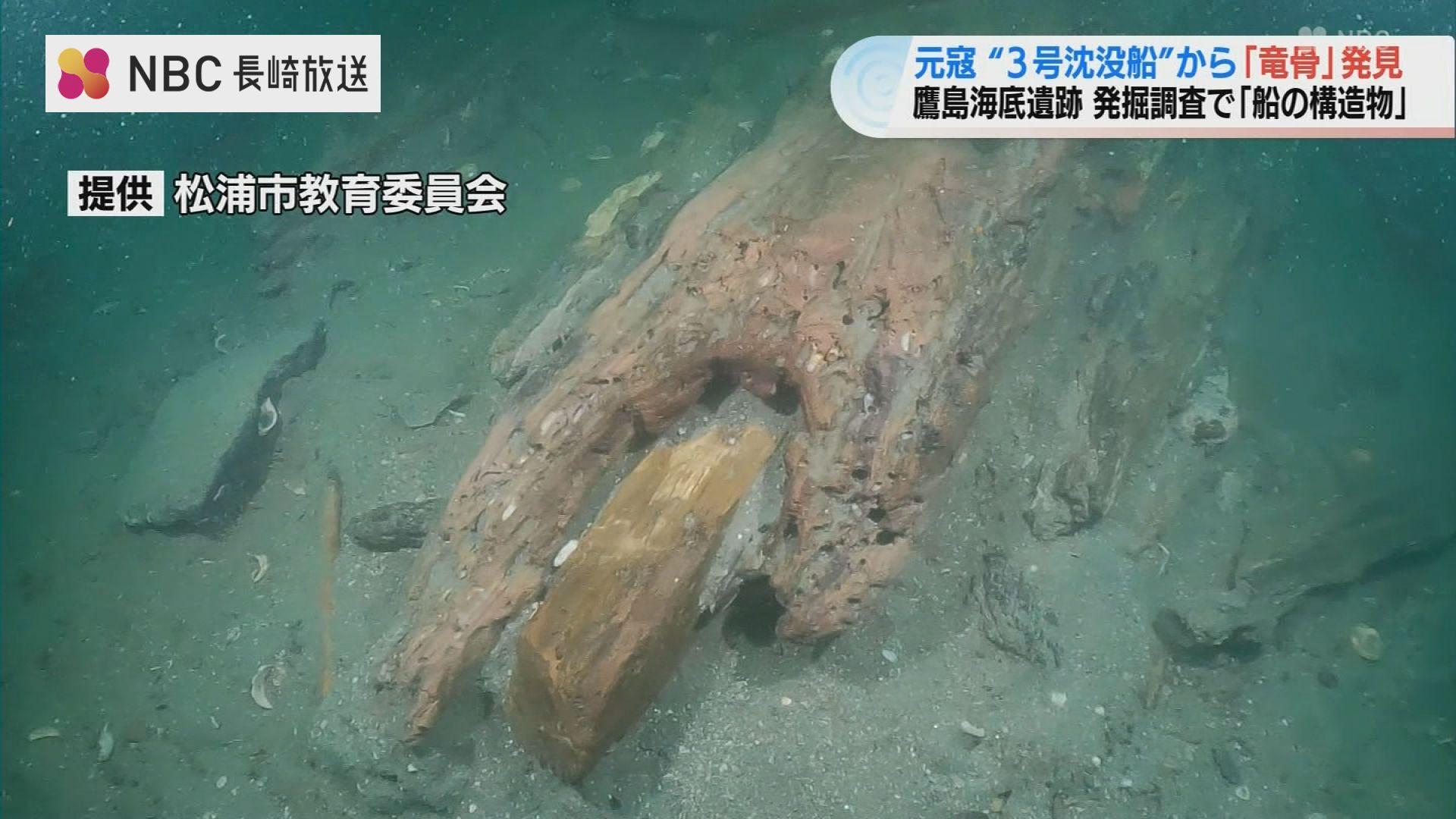 元寇3号沈没船から新たな形の「竜骨」発見 鷹島海底遺跡 | TBS NEWS DIG