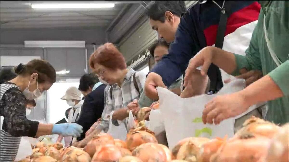 新タマネギ500円で“袋に詰め放題” 2日間で3トン用意も 初日は1時間で