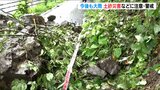佐渡市では土砂崩れも… 引き続き『大雨に注意』 新潟県 | 新潟のニュース・天気|BSN NEWS|BSN新潟放送