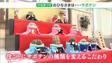 きょうは楽しいひな祭り♪静岡では園児が「お茶会」伊東は“サボテンでひな人形”|TBS NEWS DIG