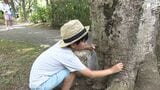 「僕らの身体と全然違う」抜け殻からセミの特徴や見分け方を学ぶ 夏休みの子どもの自然学習の場に=静岡市 | 静岡のニュース | SBSNEWS | 静岡放送