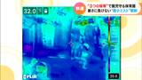猛烈な暑さから子どもたちを守れ 保育園に設置されたのは「ドライミスト」 微小な水滴を噴射して「外遊び」を安全に 愛知・長久手市 | 名古屋・愛知・岐阜・三重のニュース【CBC news】 | CBC web