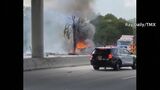 米南部で小型機が墜落し3人死亡 空の事故相次ぐ|TBS NEWS DIG
